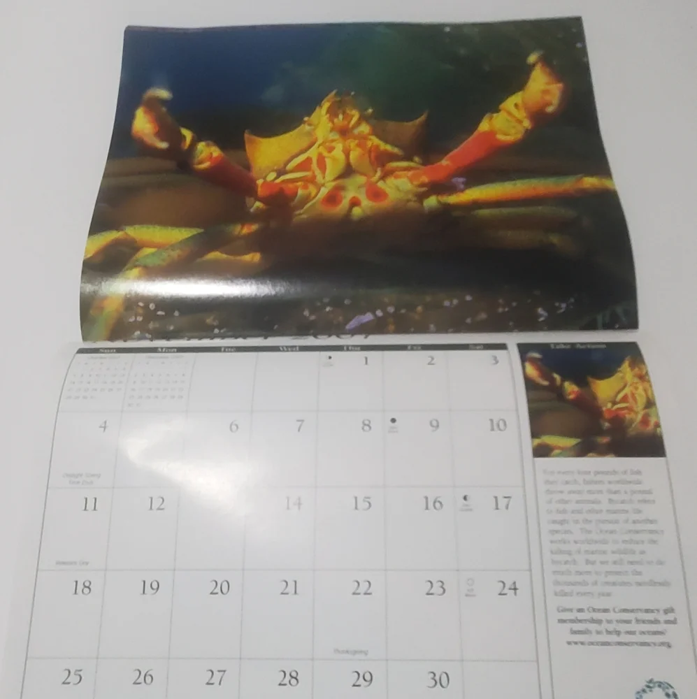 5/$15 Paper Crafting 2007 Calendar